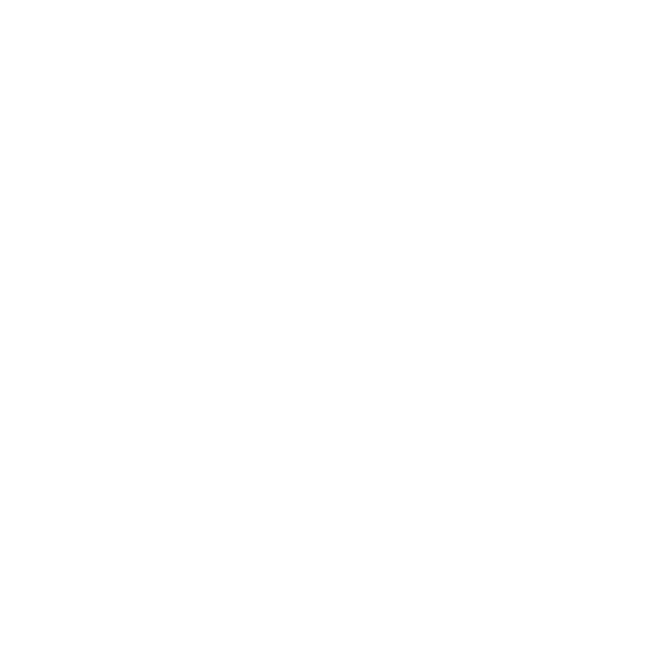 Developer Inn Orlando Florida | Marysol Osorio